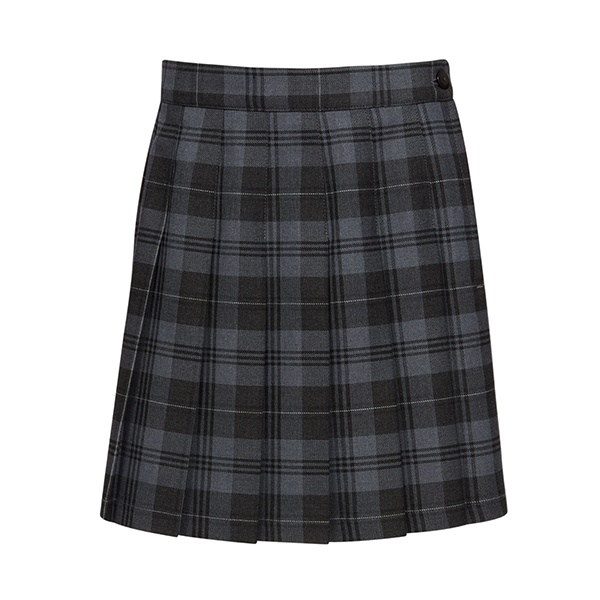 Preparatory Skirt